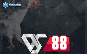 Hawkplay cockfighting