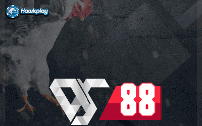 Hawkplay cockfighting