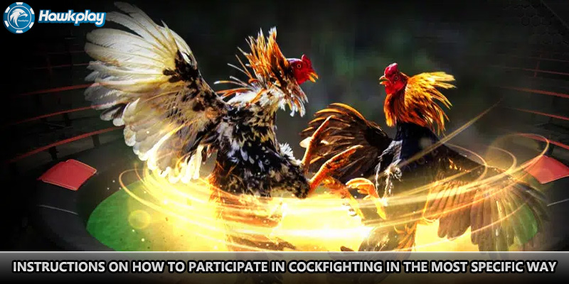 Instructions on how to participate in cockfighting in the most specific way