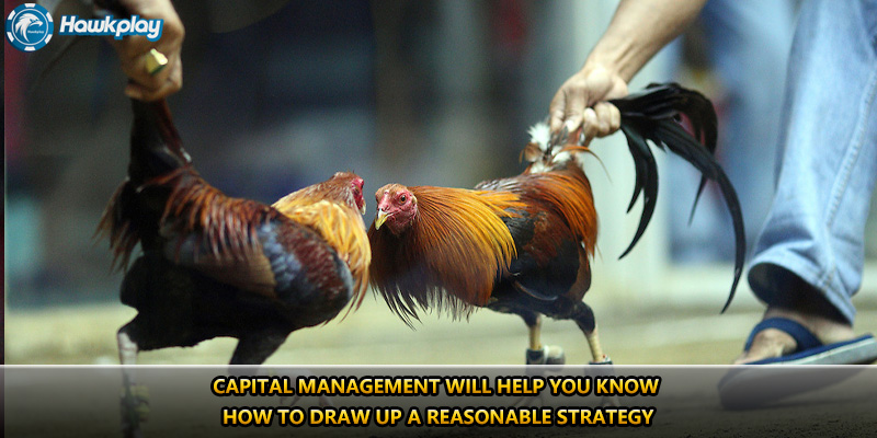 Capital management will help you know how to draw up a reasonable strategy